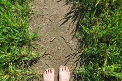 Yoga im Wald Yogaworkshop barfuß