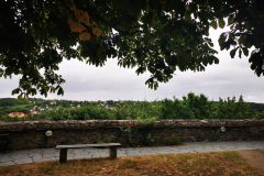 Yoga im Wald Yogaworkshop