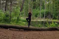 Achtsam im Wald