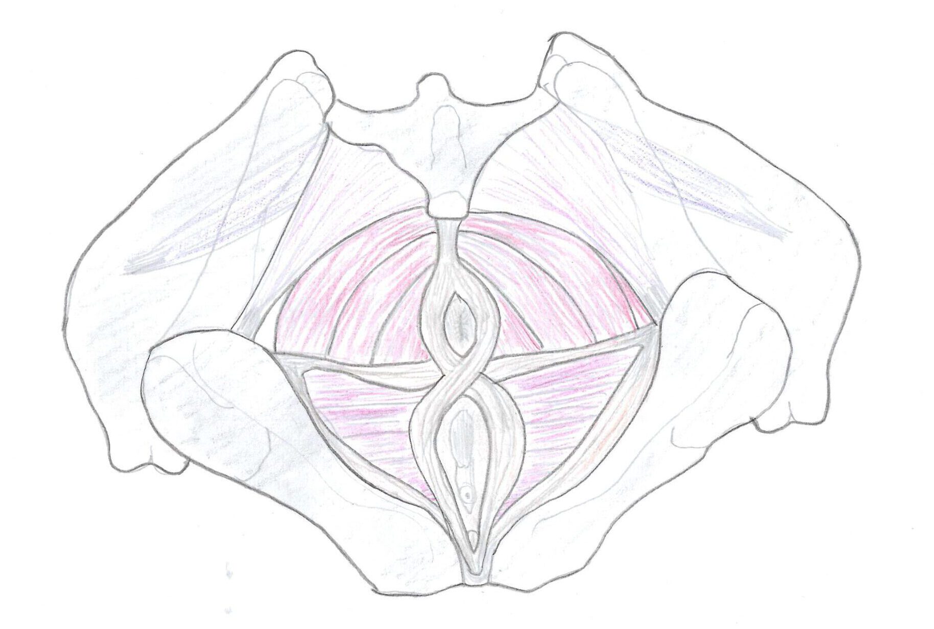 Beckenboden Skizze Dani